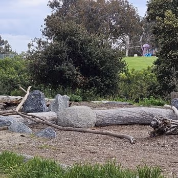 Morley Field Dog Park